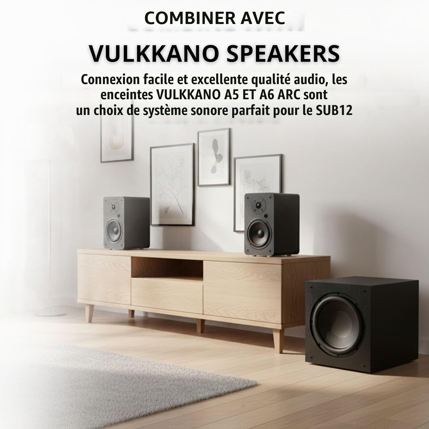 VULKKANO SUB12 Caisson De Basse Actif 12 Pouces, Fréquence 40 Hz-200 Hz, 200 W