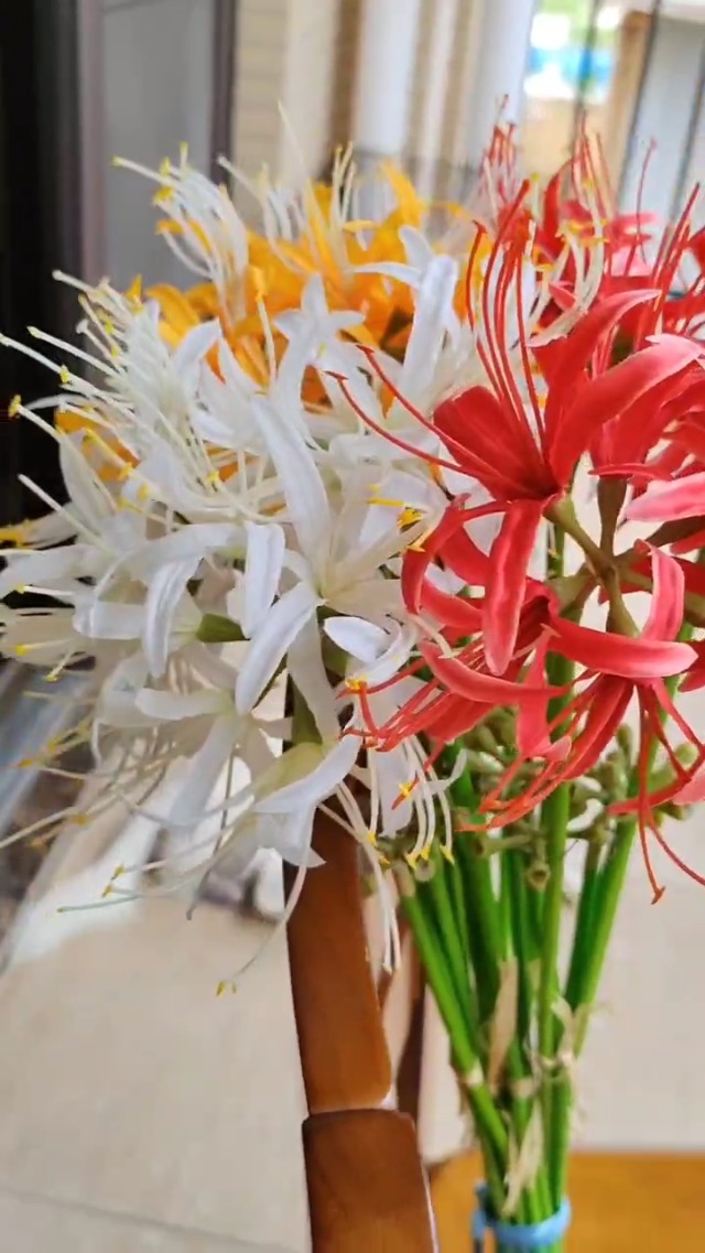 Qingriver 4 Stems 26.38'' Artificial Spider Lily Flowers Lycoris