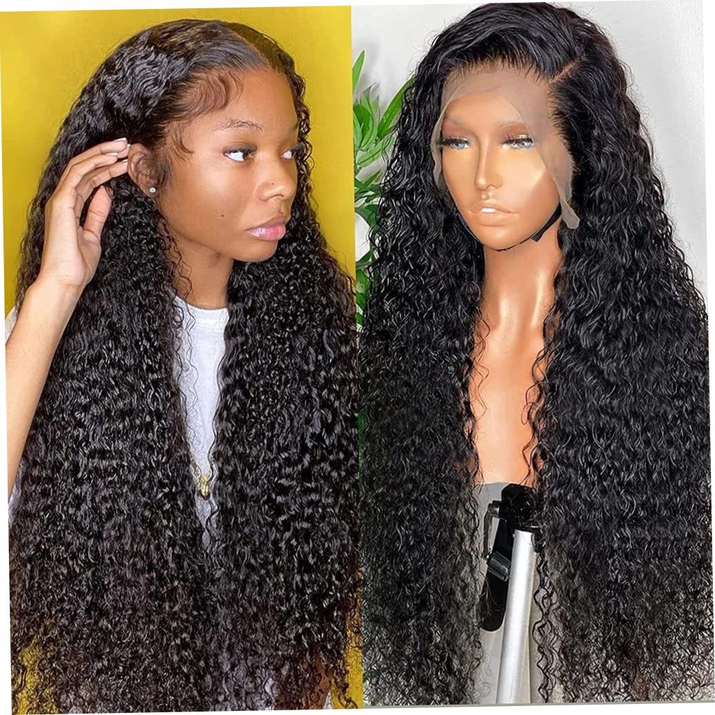 Water Wave Wig with Baby Hair 13X4 Glueless HD Lace Front Curly Pre Plucked Hairline 30 inch Brazilian Virgin Human Wigs for Black Women 180% Density Wet and Wavy,Short Brown Wigs