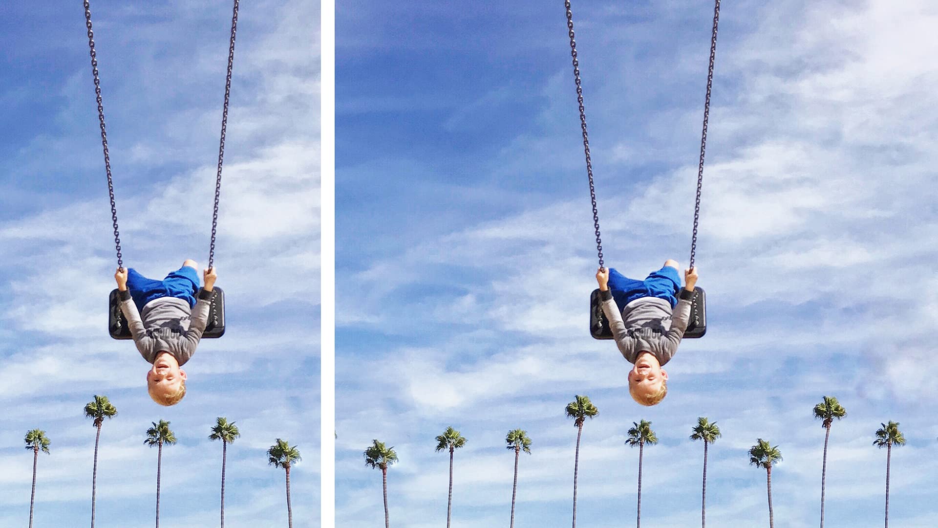 Adobe Photoshop & Premiere Elements 2022 Studenten und Schüler
