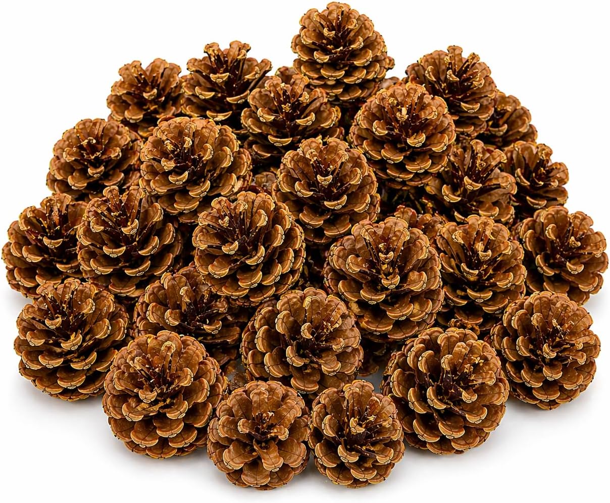 Bonka Bird Toys 3284 Natural Pine Cone Bird Toy 2" Real Pinecone Chew Foraging Toy for Small to Medium Birds Parakeet Cockatiel Conure Finch Cage Enrichment (Pack of 24)