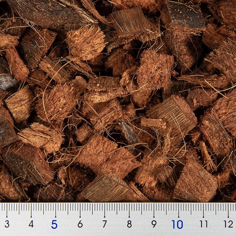 Amazon | THE ヤシガラチップ 2L | 邑楽ファーム | 底砂