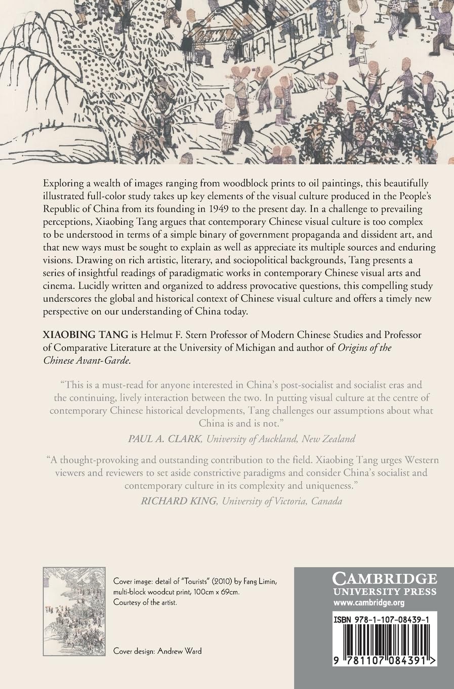 Visual Culture in Contemporary China: Paradigms and Shifts