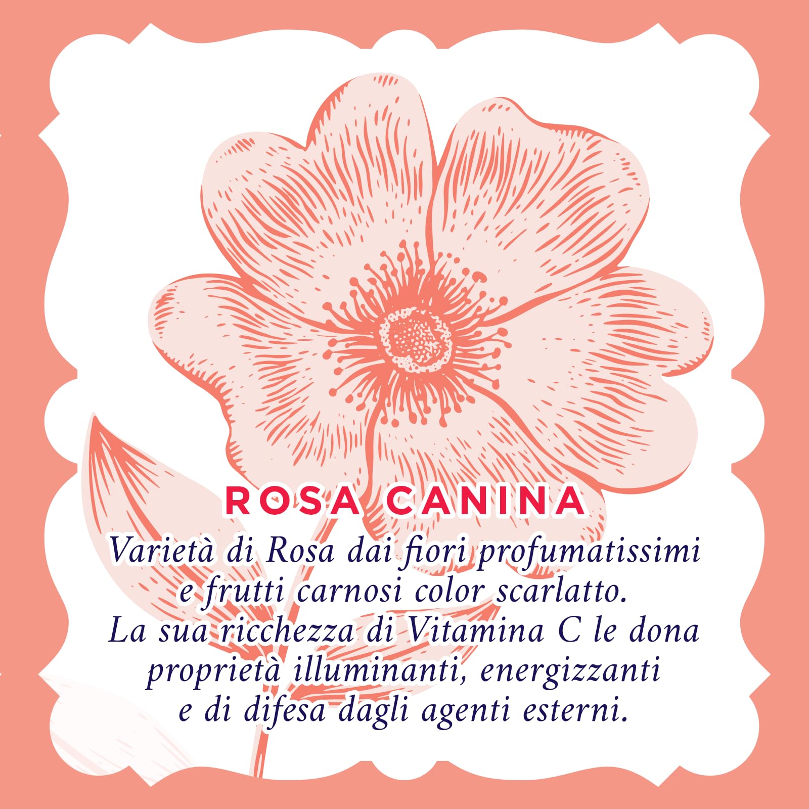 Acqua alle Rose, Gel Lavaviso Illuminante con Vitamina C, Detergente Viso Illuminante per Pelli Spente e Opache, Uso Quotidiano, 200 ml