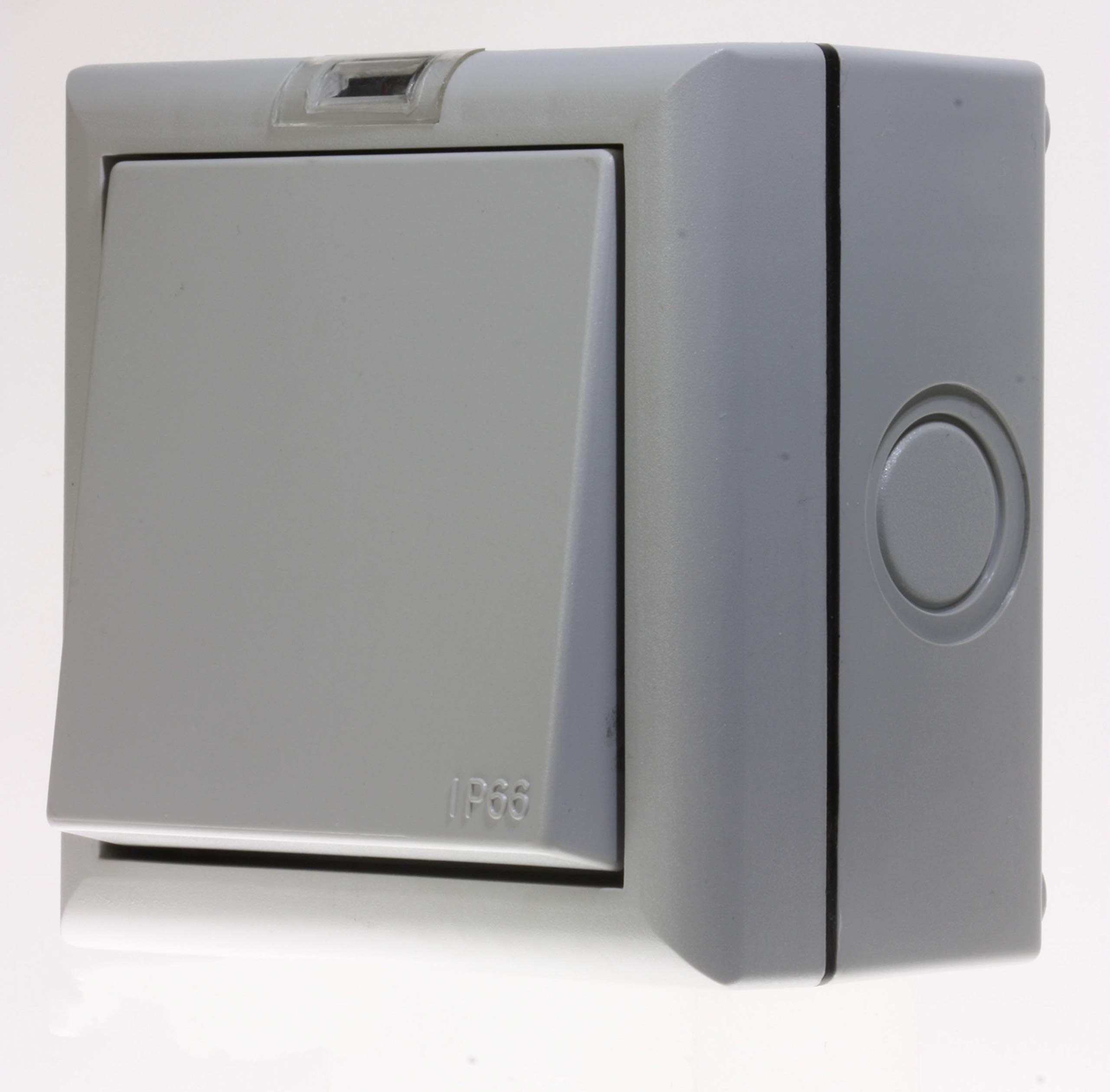 SMJ Electrical E61G2P-N One Gang IP66 2 Pole 20 A Switch