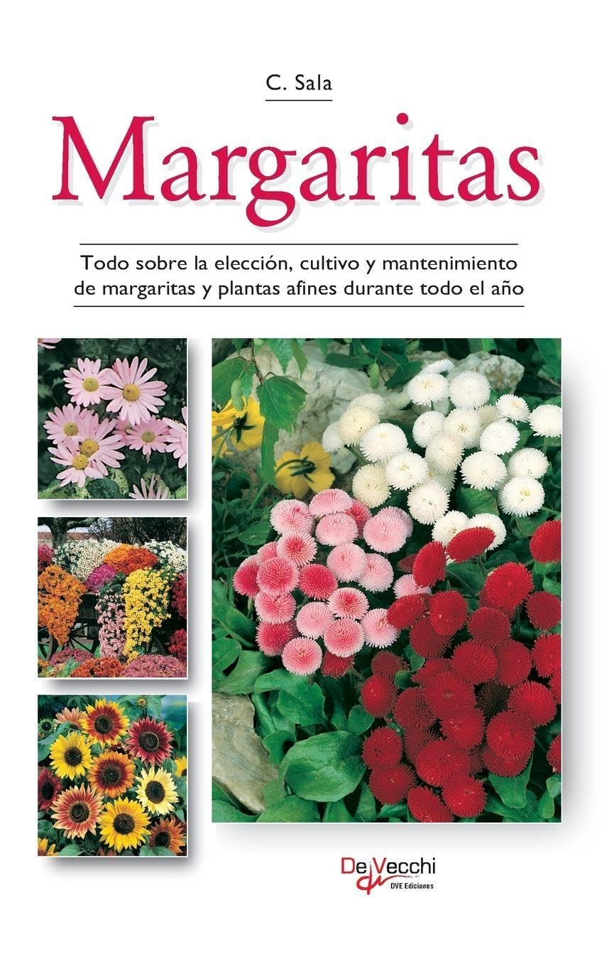 Margaritas: Todo sobre la elección, cultivo y mantenimiento de margaritas y plantas afines durante todo el año