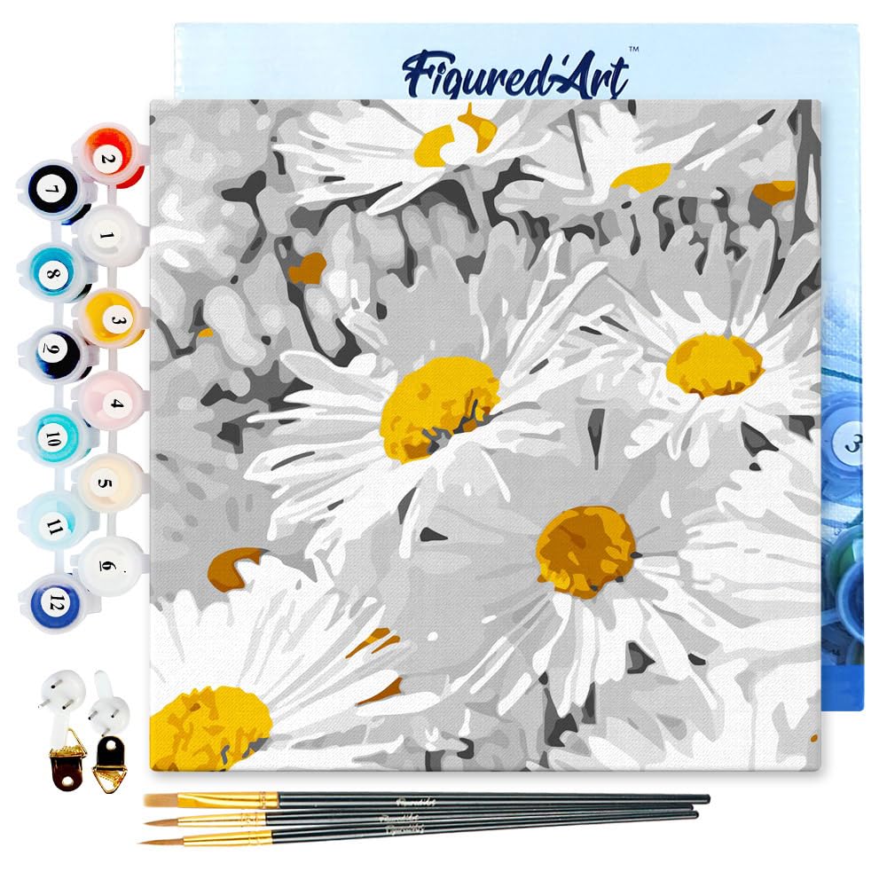 Figured'Art Mini Paint by Numbers Kit for Adults with Frame Daisies Field Small Format 20x20cm - Craft Art Painting DIY Canvas Already Stretched on a Wooden Frame