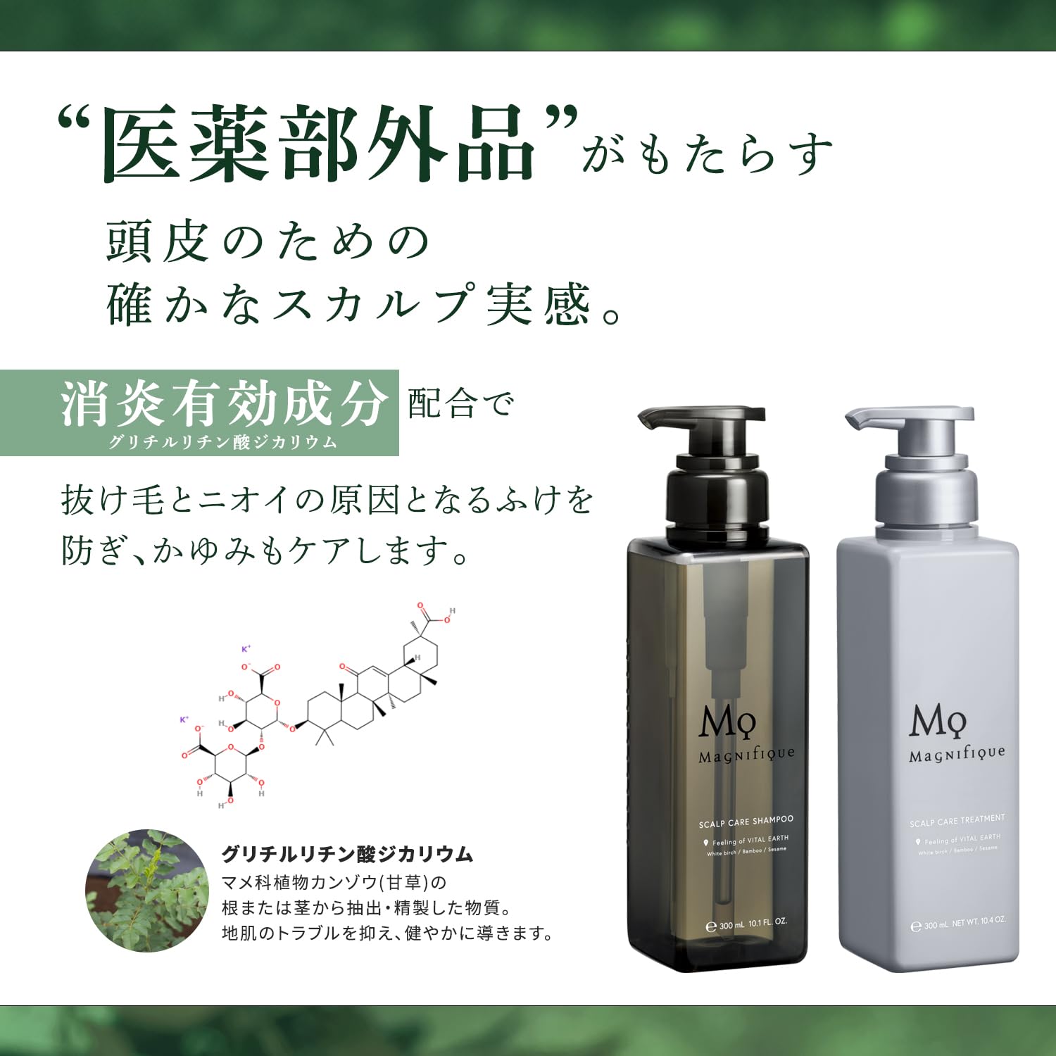 マニフィーク スカルプ ケア シャンプー トリートメント*3セット Amazon | マニフィーク 【医薬部外品】 スカルプ ケア