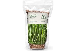 Organic Wheat Grass Seeds for Cats - 16 Ounces (100% Organic Non-GMO, Hard Red Wheat)