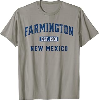 USA Vintage Merch Souvenir Visit Farmington New Mexico T-Shirt