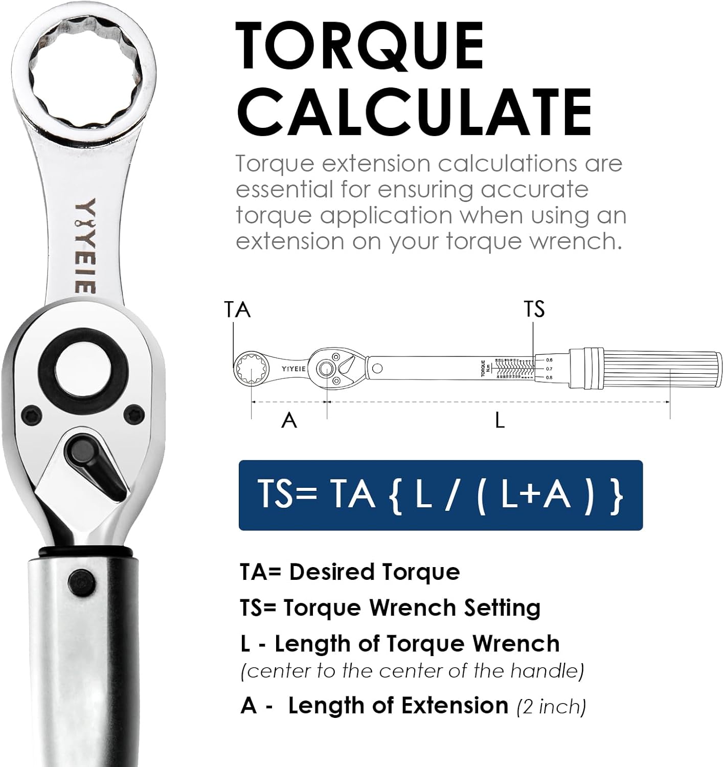 YIYEIE 10PCS Torque Adapter Set Metric, 10, 12, 13, 14, 15, 17, 19mm Torque Wrech Extension Adapter, 12 Point Box End Torque Wrench Adapter 3/8" Drive, with 1/2'' and 1/4'' Adapters, EVA Foam