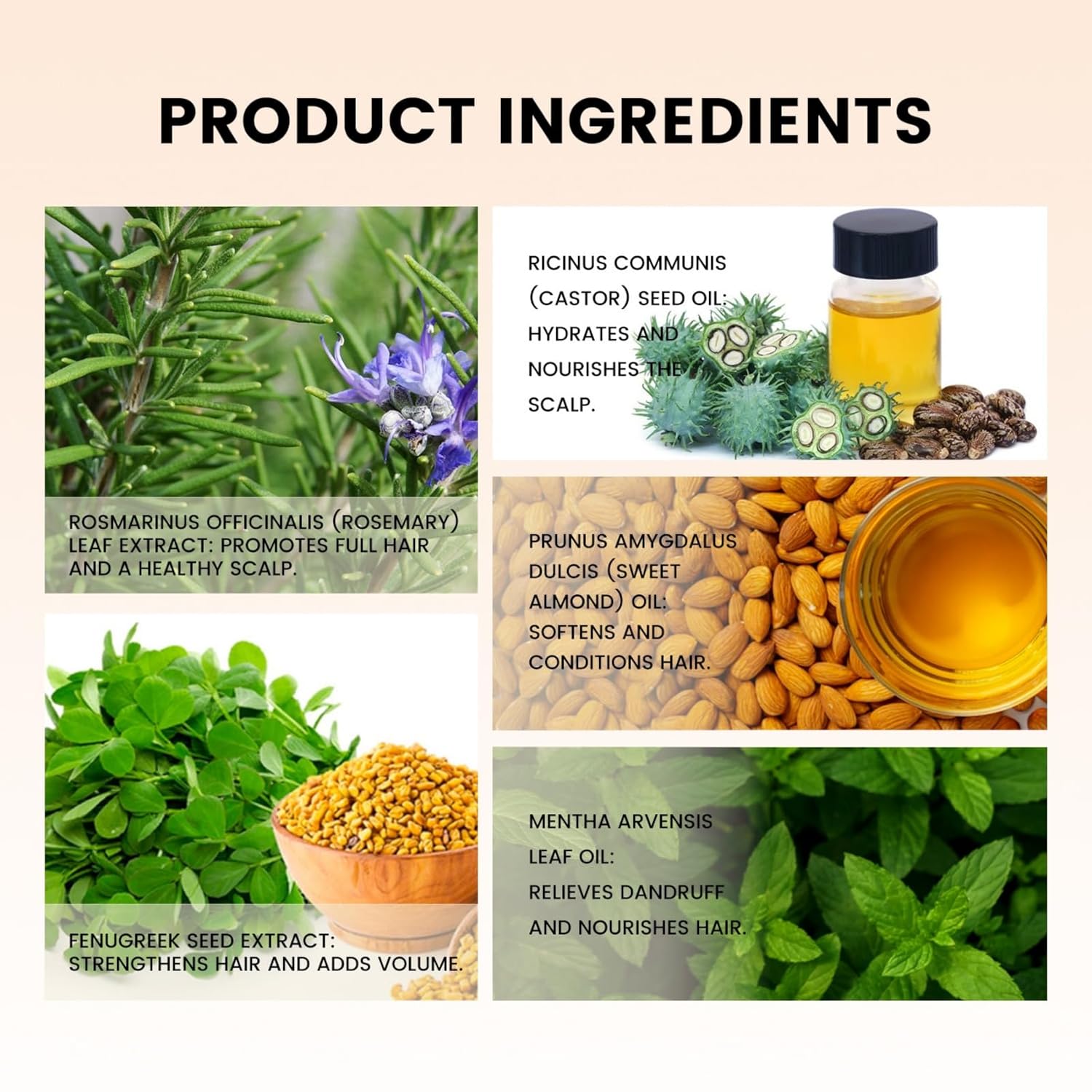 Extra Strength Rosemary & Fenugreek Herbal Hair Growth Oil Organic - Nourishes & Strengthening Hair - All Hair Types | Natural Nourishing Formula 120mL - Image 3