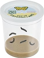 Vista 1 de Insect Lore Taza de Orugas Básica – 5 Orugas Vivas de Dama Pintada con Comida – Kit de Recarga para Hábitat de Jardín de Mariposas – Actividad