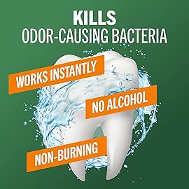 TheraBreath Fresh Breath Mouthwash, Rainforest Mint, Alcohol-Free, 16 Fl Oz (2-Pack)