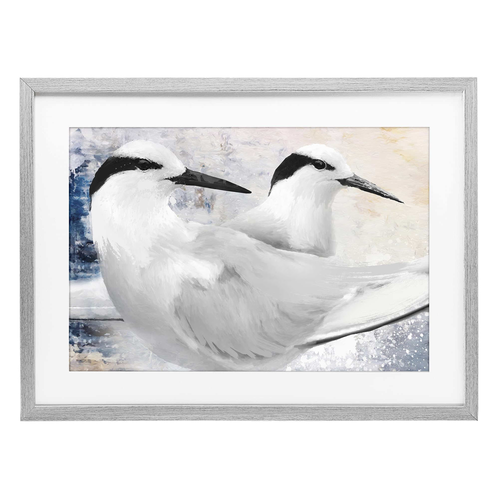 Black Naped Tern Coastal Bird, 14 x 20 Inch Framed Print Under Glass
