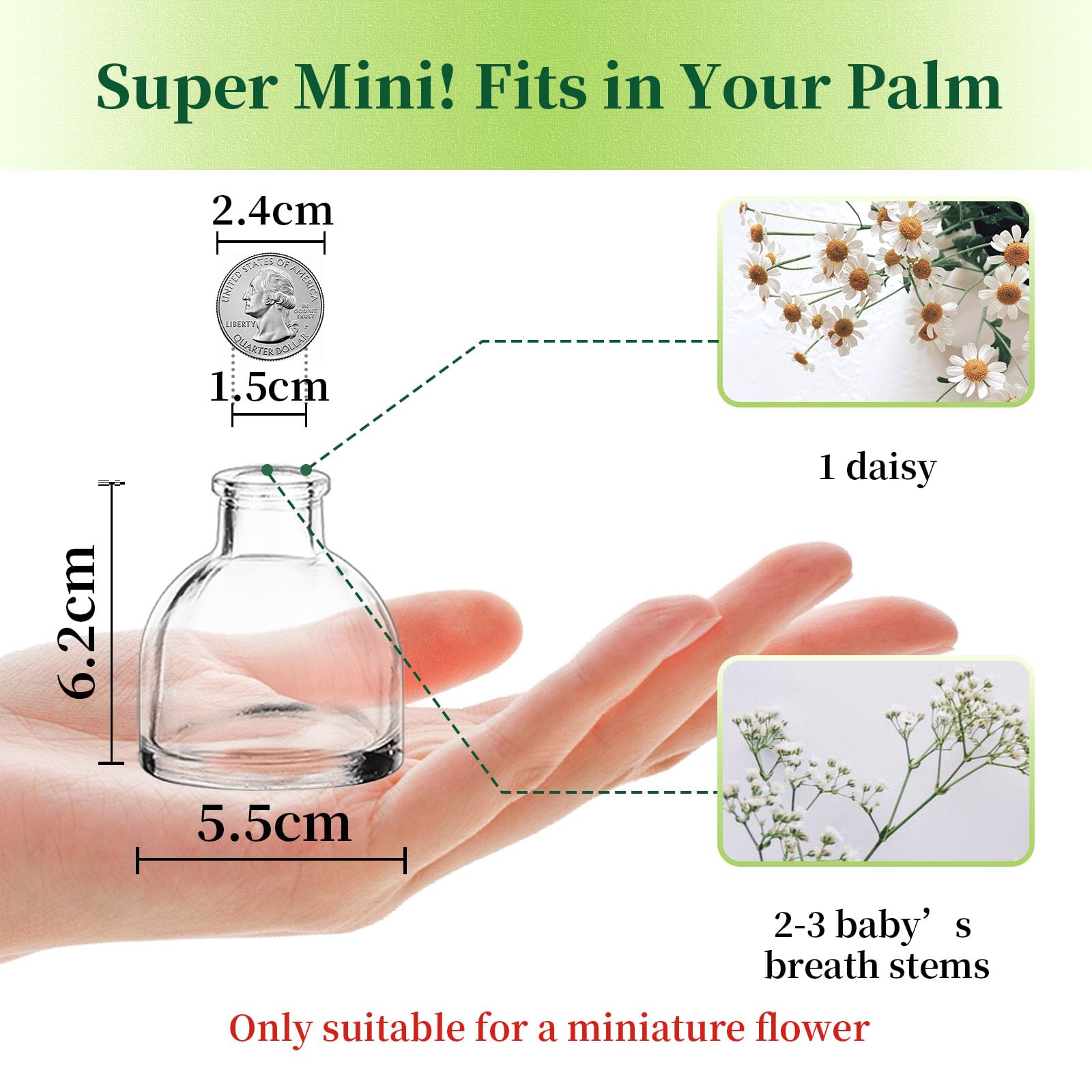 Hewory Mini Vase Transparent Verre: 20pièces Petit Vase Decoratif Design Soliflore en Verre pour Decoration Mariage Maison