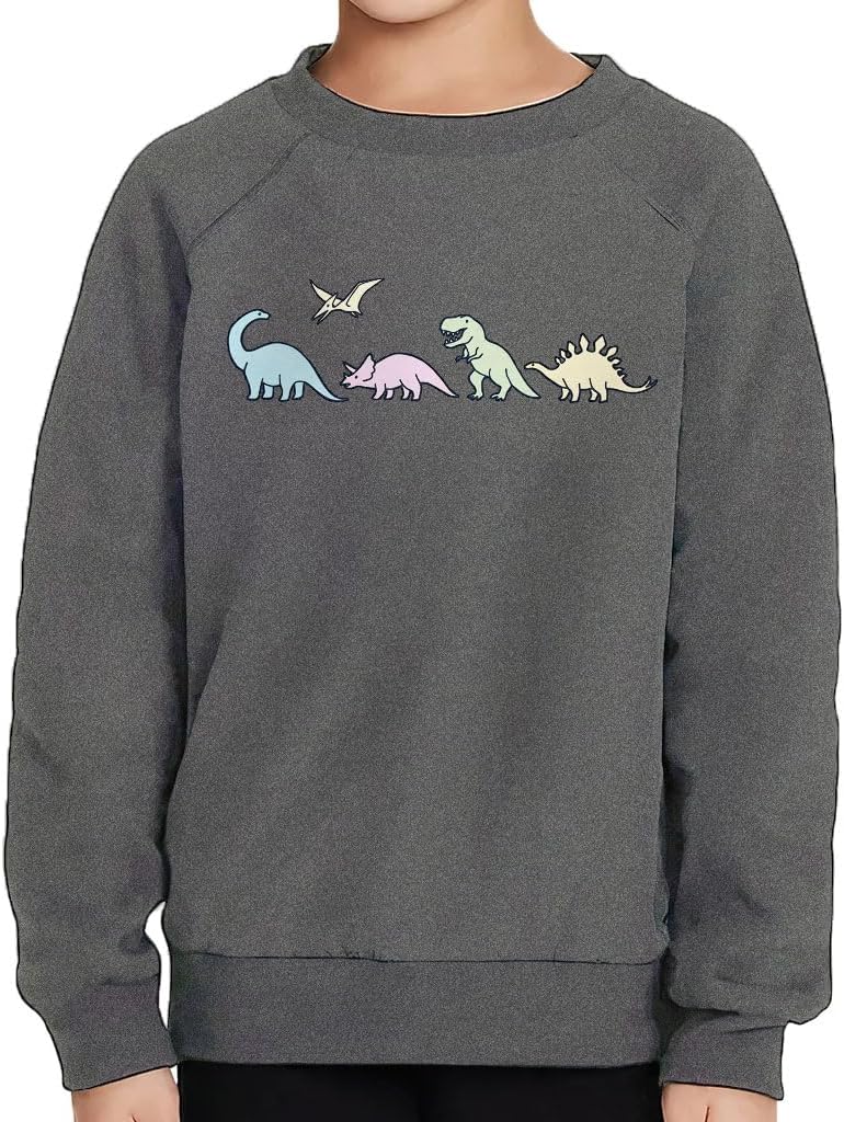 Cute Dinosaurs Toddler Raglan Sweatshirt - Dino Lover Boy Clothing - Boy Clothing