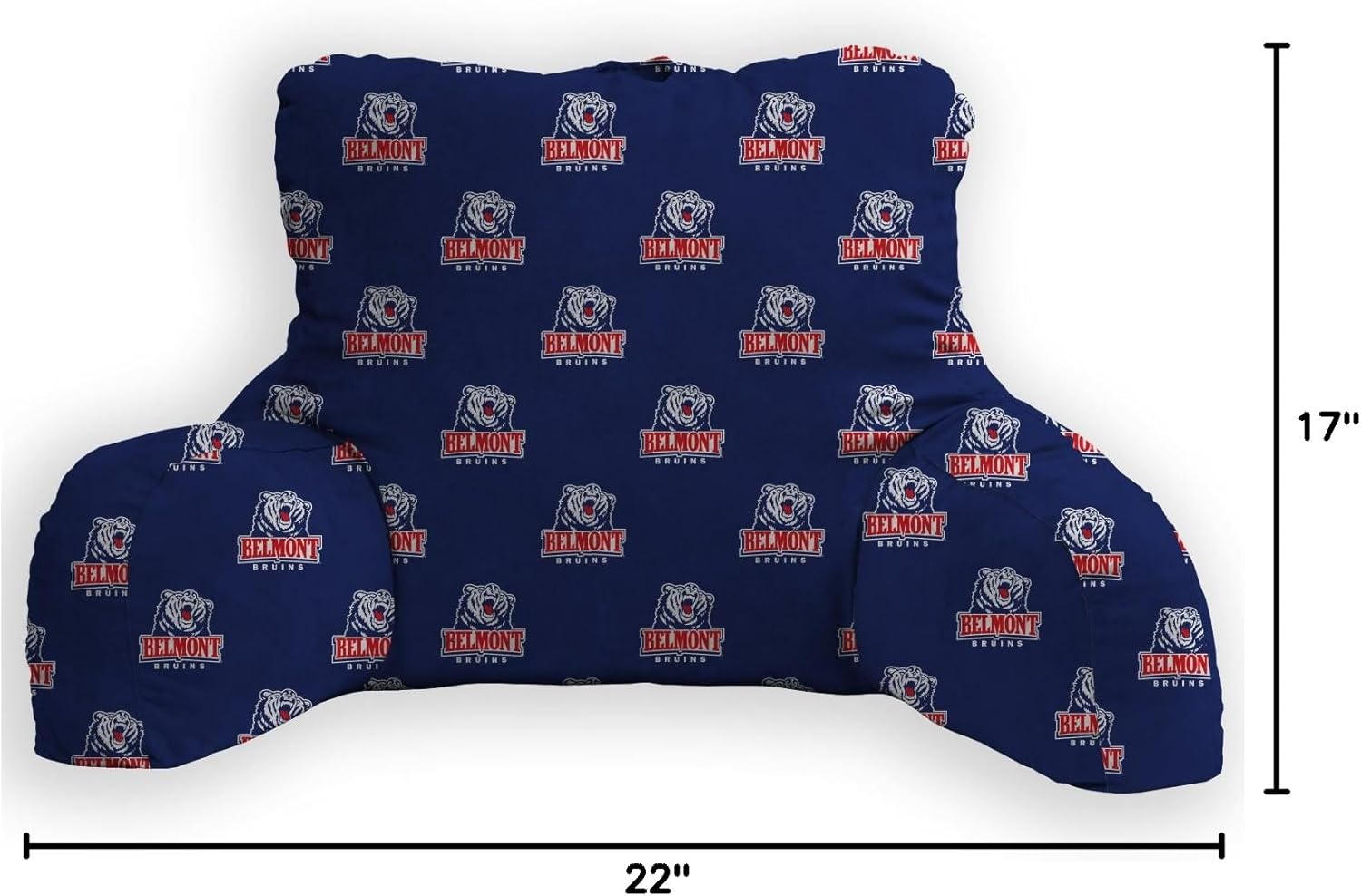 Pegasus Sports NCAA Plush Back Rest Boise State