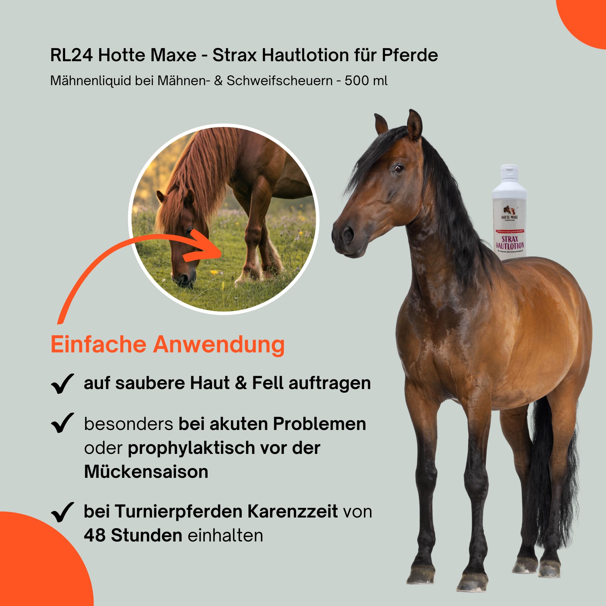 RL24 Hotte Maxe - Strax Hautlotion für Pferde – 2 x 500 ml Flasche (2er Set)