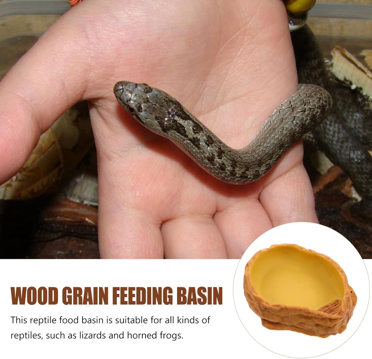 SUPVOX Crawling Pet Bath Tub Reptile Food Holder Resin Pet Water Bowl Lizard Water Holder Safe Feeding Supplies