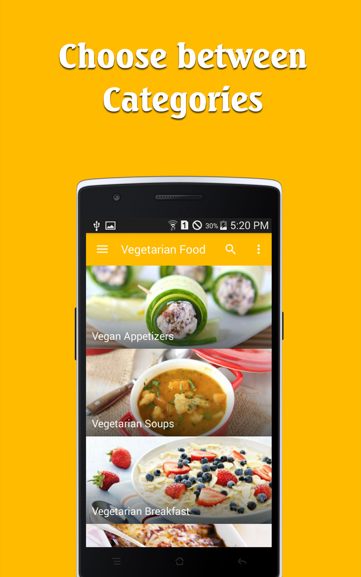 Vegetarian Food recipes free for Android