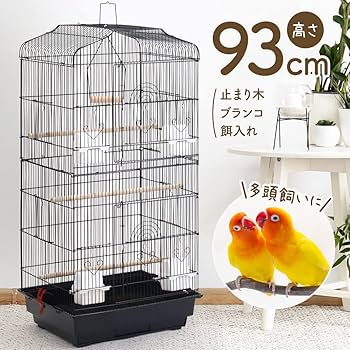 この地方では名の知れた、大型鳥籠。 6-023 この地方では名