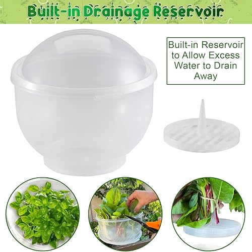 Miniatura 5 de Home-X Lechuga Keeper  Conservador de lechuga sin BPA para refrigerador para mantener ensaladas y verduras frescas  7 x 8 pulgadas lechuga más