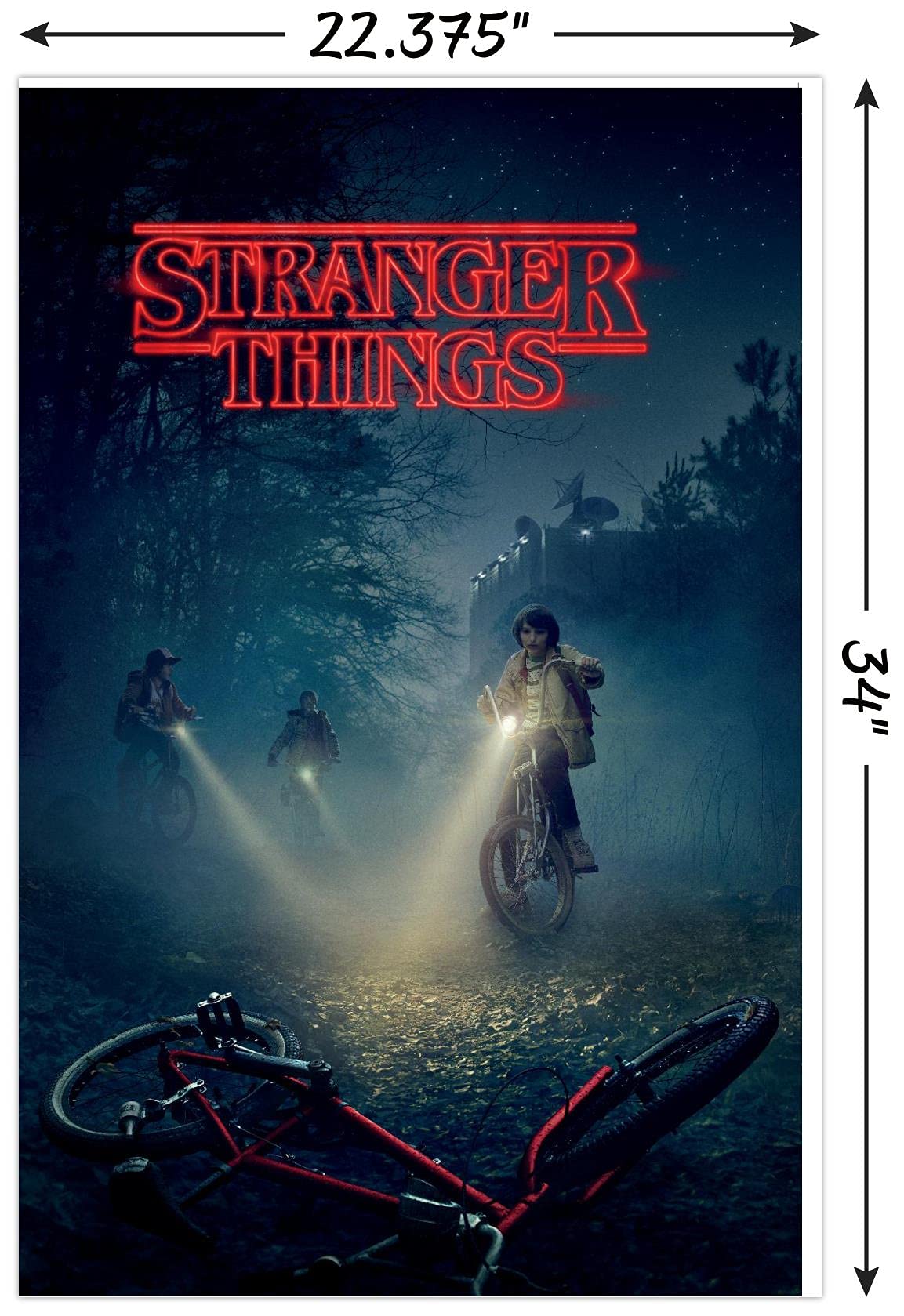 Amazon.co.jp: Trends International フレーム入りポスター