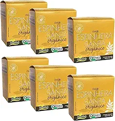 Kit 6cx Chá de Espinheira Santa Orgânico (60 Sachês) Campo Verde