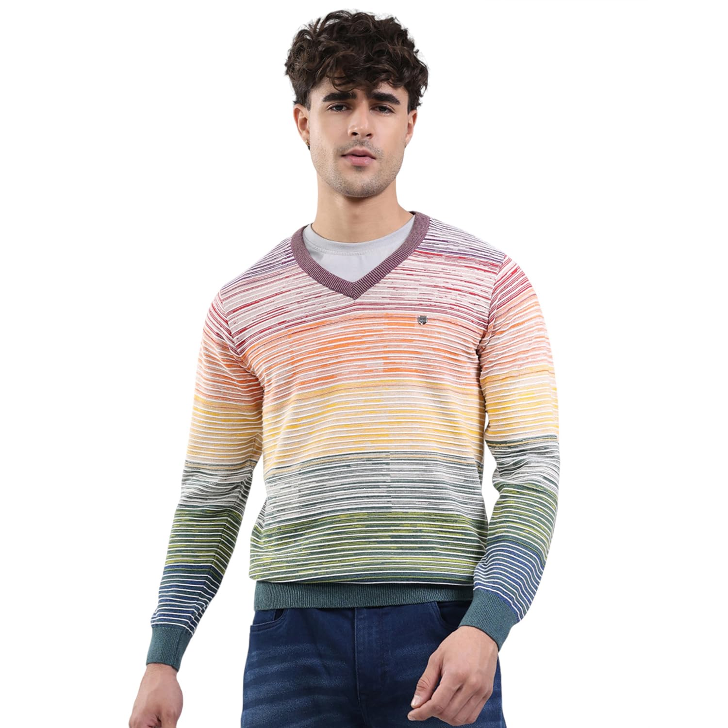 Men Smart Fit Striped Pattern V Neck Pull On Full Sleeve Winter Pullover