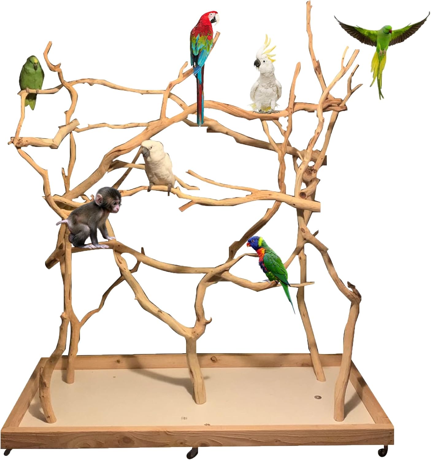 ExoticDad XL Bird Stand Customize Your Perch Designed