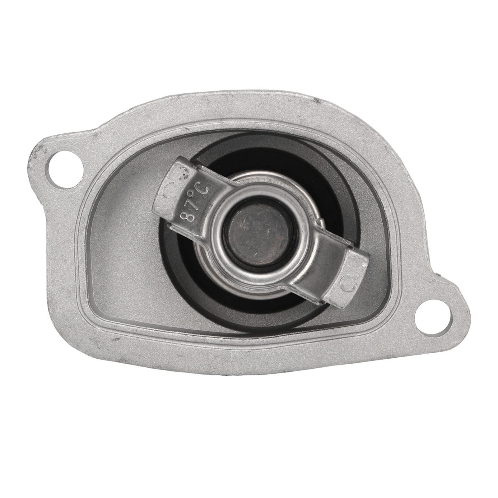 Thermostatgehäuse, Hochleistungs-OEM-Standard-Metallkonstruktion 