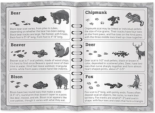 Miniatura 7 de MasterPieces Juegos con licencia para niños - Jr Ranger - Poop Tracks Kids Juegos de cartas para niños y familia, para reír y aprender mediano