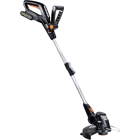 weed eater we20vt