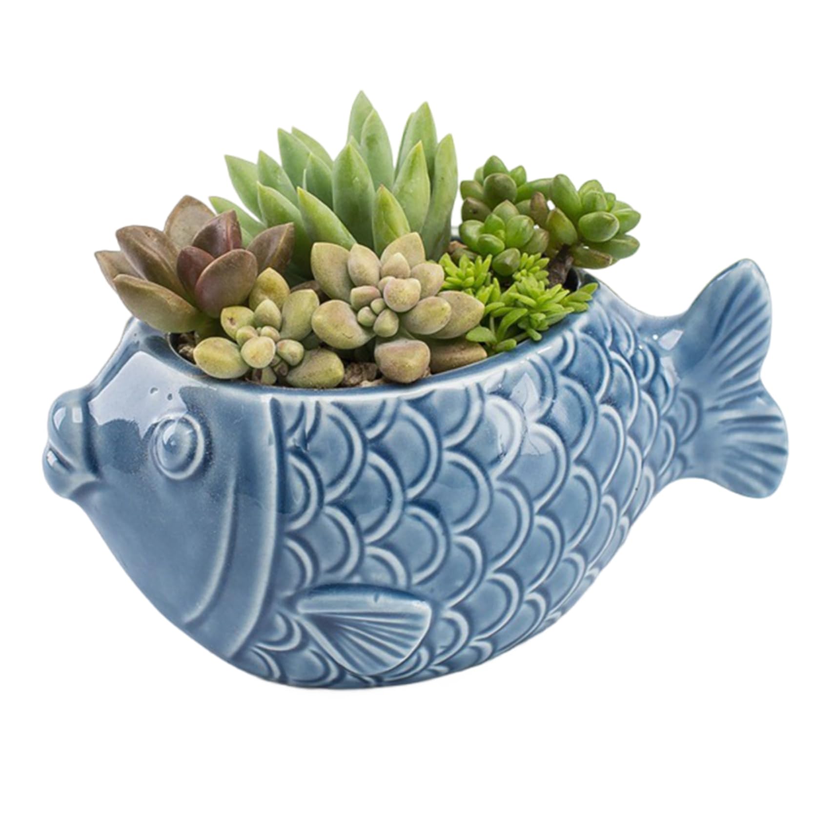 Hintyne Small Ceramic Pots Succulent Pot, 4.7x2.4x2.4 Inch Ocean Blue Fish Ceramic Flower Pots with Drainage Hole, Decorative Desktop Bonsai Pot for Succulents Style 1