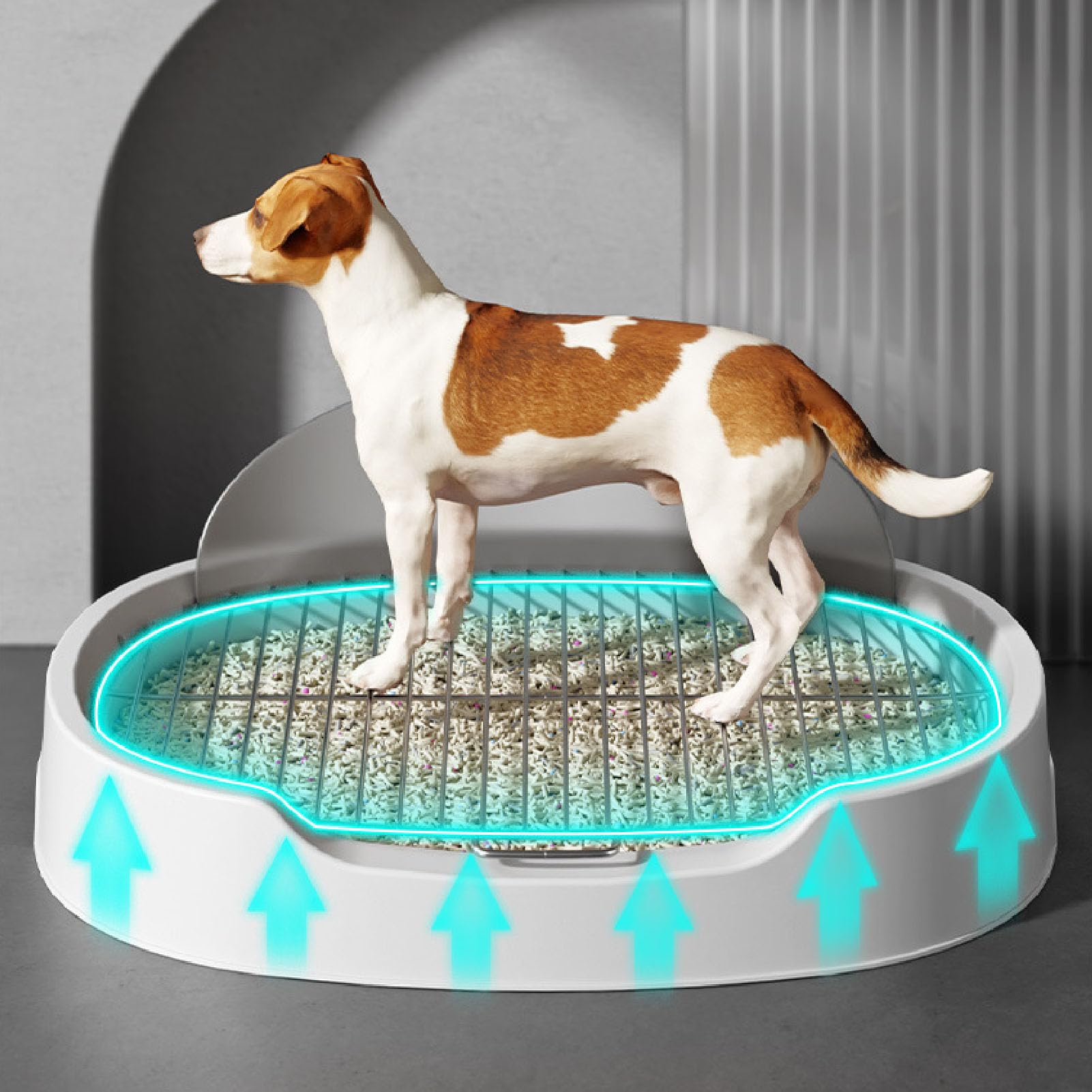 Bandeja Orinal De Interior para Perros, Inodoro De Adiestramiento para Perros con Pared Antisalpicaduras Extraíble Y Marco De Malla Soporte Portátil para El Orinal del Cachorro