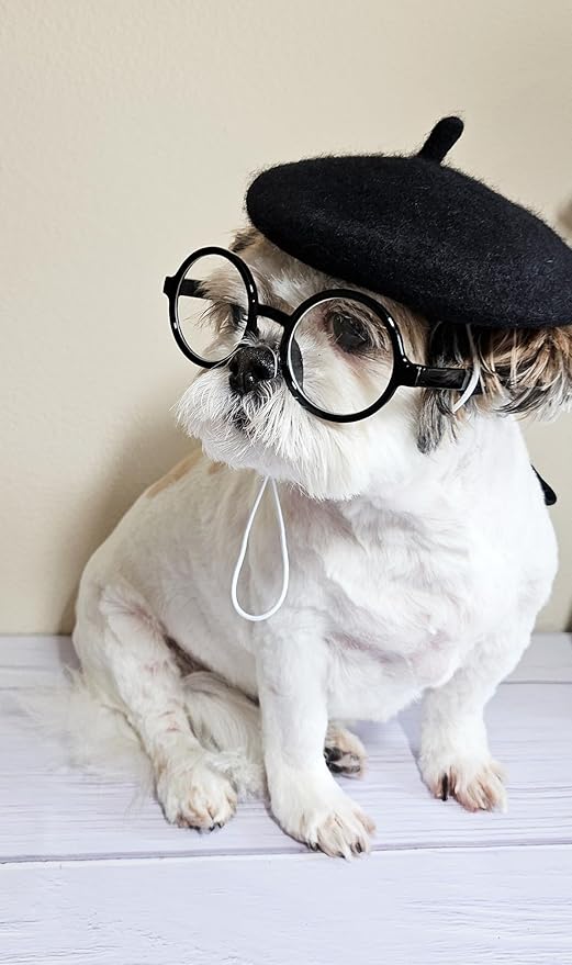 Disfraz de Perro Retro con Gafas de Sol y Boina - Talla Pequeña/Mediana miniatura 6