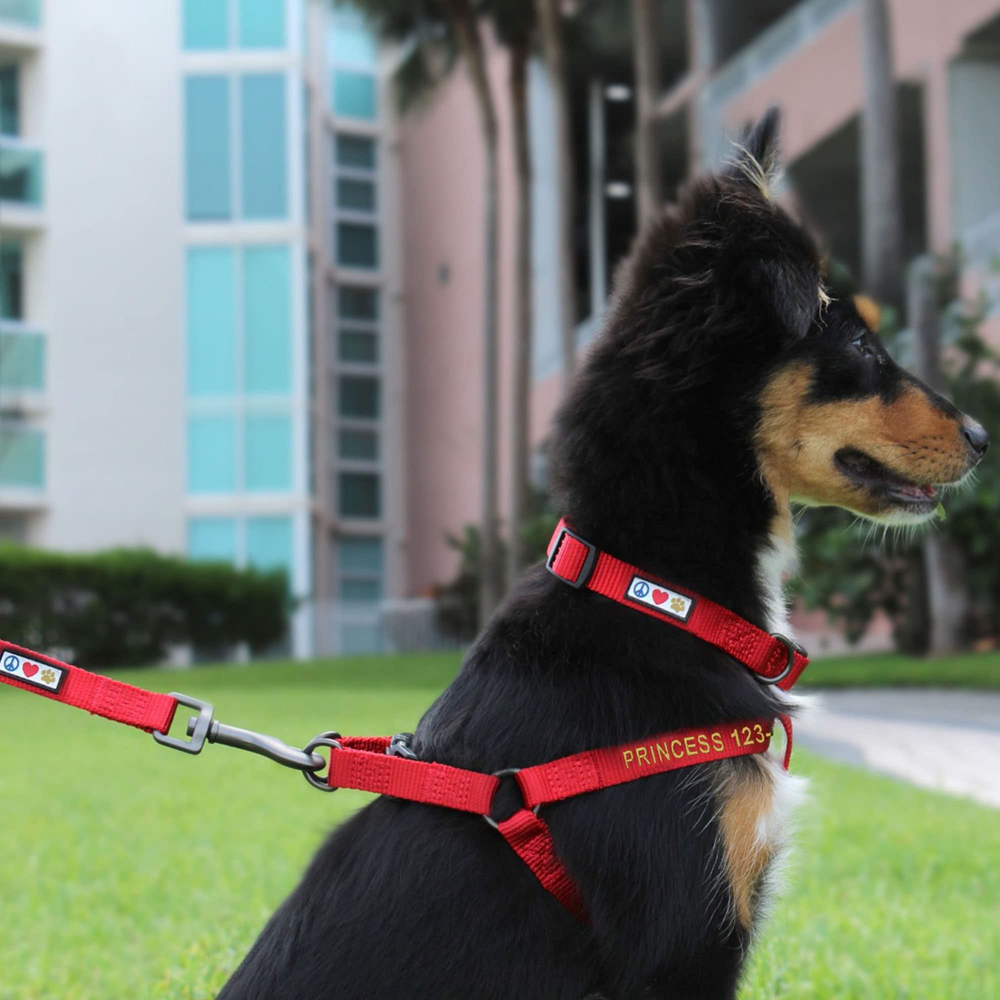 Pawtitas Personalized Dog Harness Dog Harness with Name Phone Number Puppy Harness Adjustable Customized Harness for Small Dogs Small Breeds & Puppy Red Small Dog Harness, Customized S (Pack of 1)