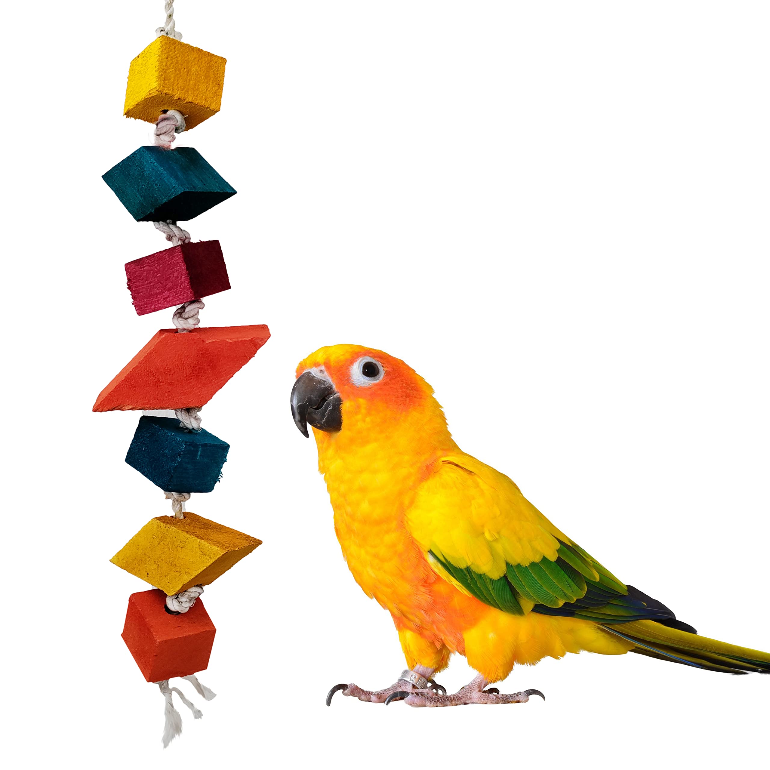 CONGO - NATURAL PARROT TREAT 53X5Cm Premium Edible Colored Hanging&Chewing Toy For Cockatiels,Conure,Senegal,Amazon And Other Birds(Piece Of 1) (B09LS5M7S2) Amazon Price History, Amazon Price Tracker