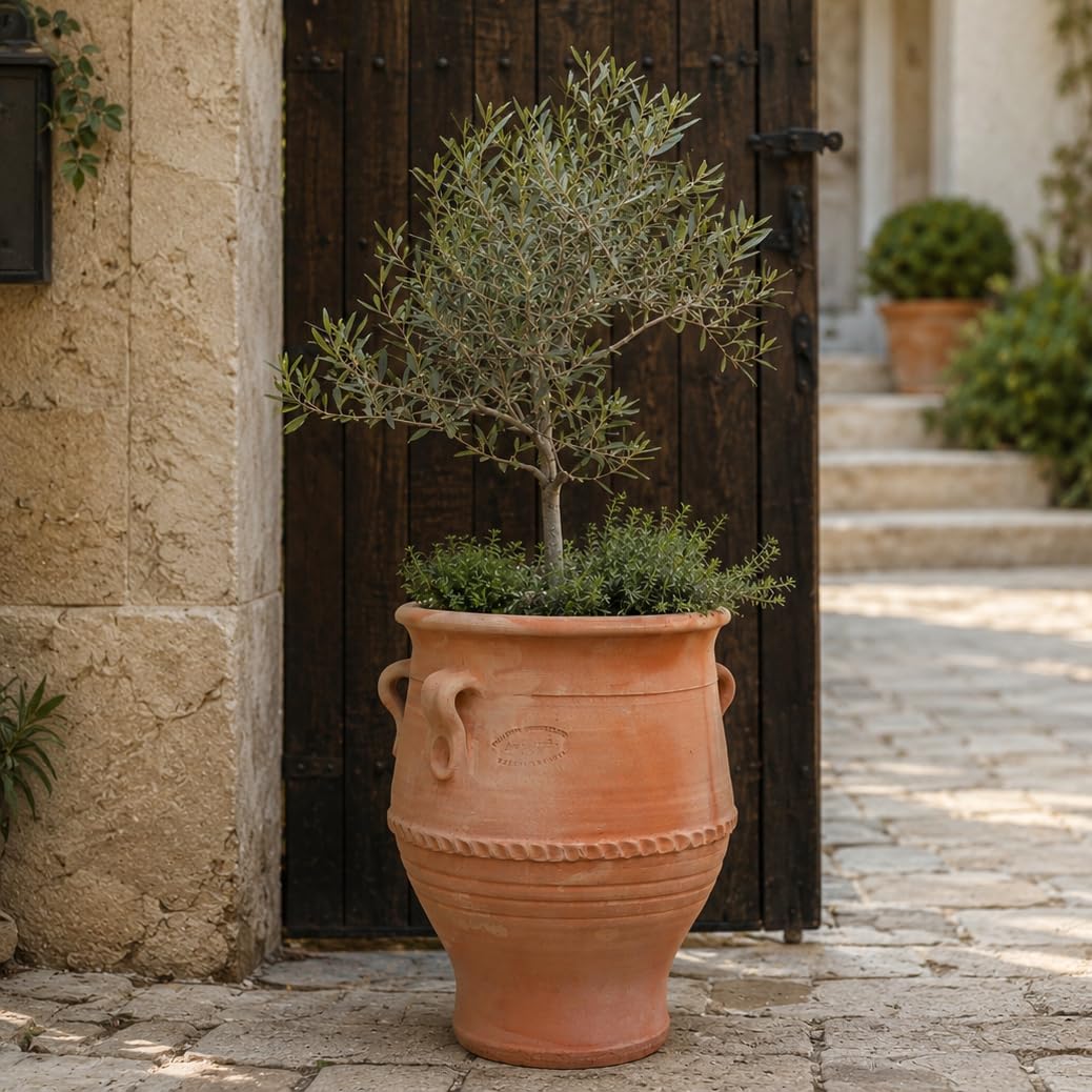 Palatina Werkstatt Anfora Thymus2 de terracota, 40 cm, 100% hecha a mano, única, exclusiva para el invierno para el jardín y el interior