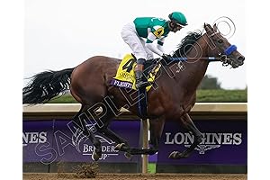 SPORTSPHOTOSUSA Flightline 2022 Breeders Cup Classic Champion 8X10 Photo Flavien Prat Up