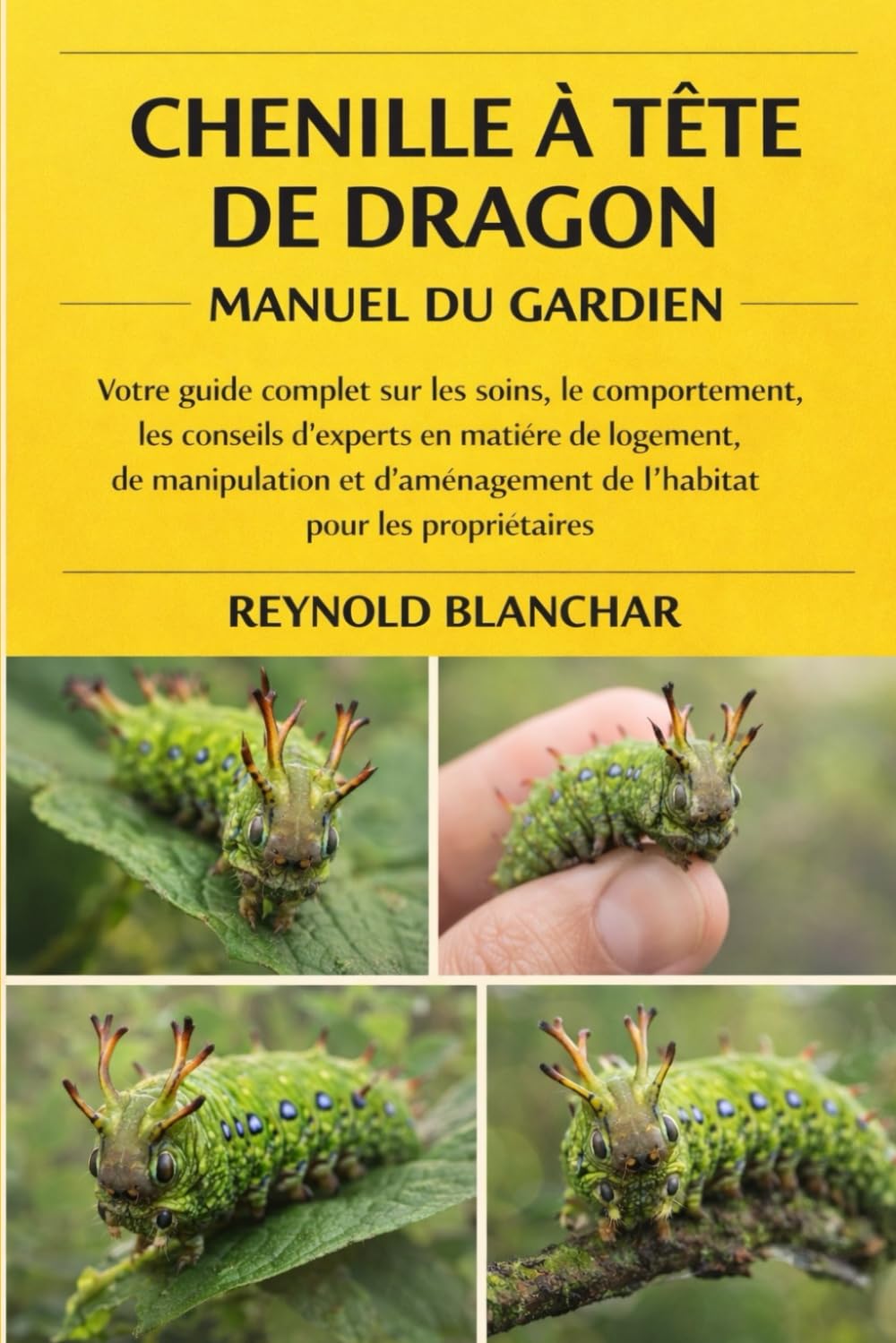 CHENILLE À TÊTE DE DRAGON: Votre guide complet sur les soins, le comportement, les conseils d'experts en matière de logement, de manipulation et d'aménagement de l'habitat pour les propriétaires