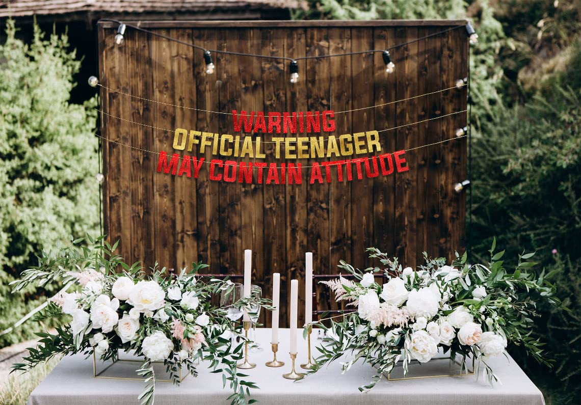 Goldenes Glitzer-Banner mit Aufschrift "Warning Official Teenager May Contain Attitude", Partyzubehör, Ideen, Geschenke und Dekorationen