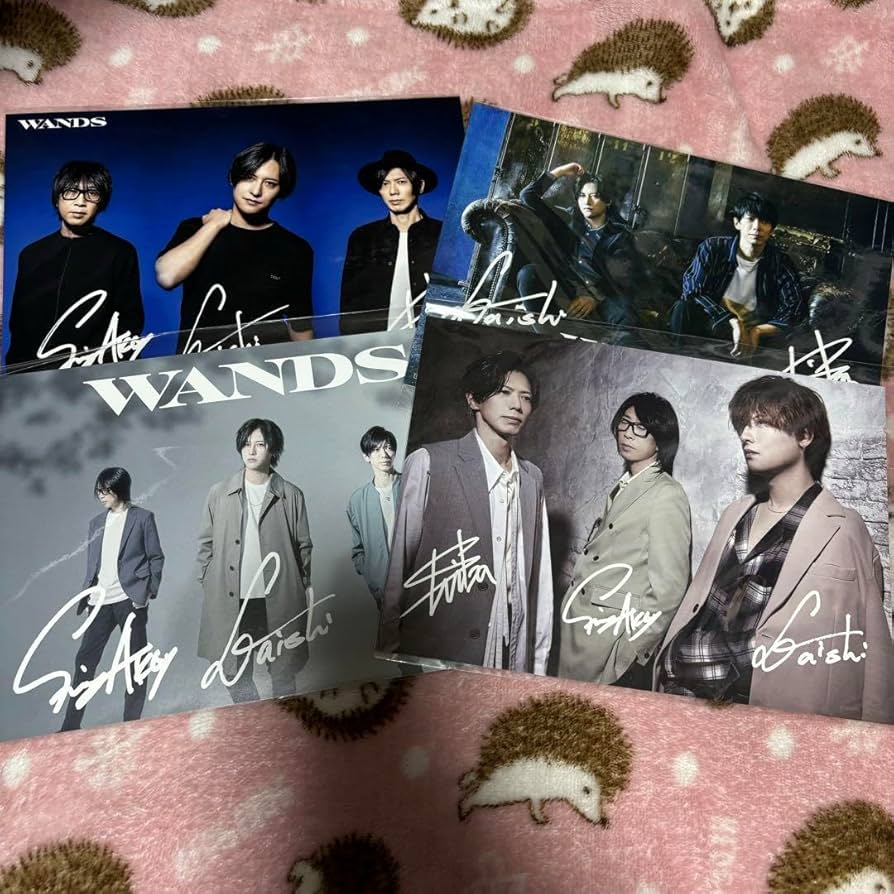 WANDS LIVE PHOTO BOOK 上原大史 WANDS live tour2024〜BOLD〜 ありがとうございました