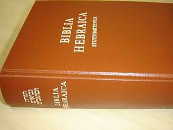 71UrgDWrmTL._AC_UF350,