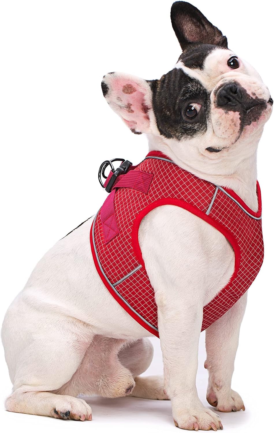 ugg dog harness