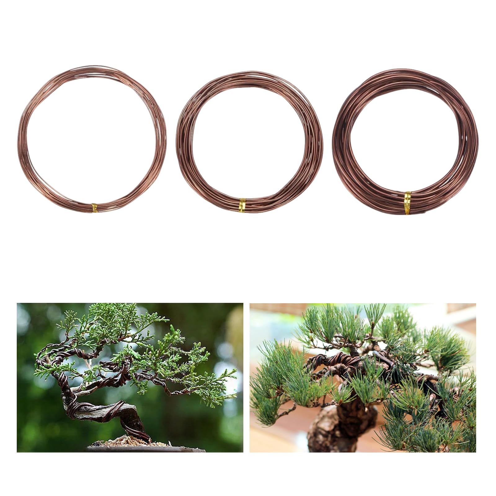 Bonsai Training Wire Set—3 Gauges, 16.4 ft