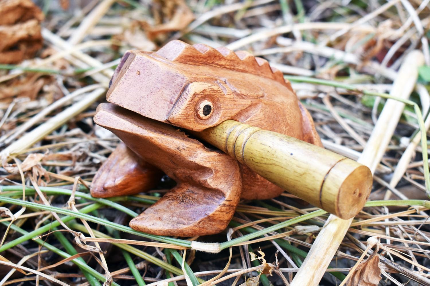 Grenouille Guiro Bloc de bois Instrument de musique Percussion Instrument de musique Taille parfaite Güiro en bois naturel (6,5 pouces - 16,5 cm)