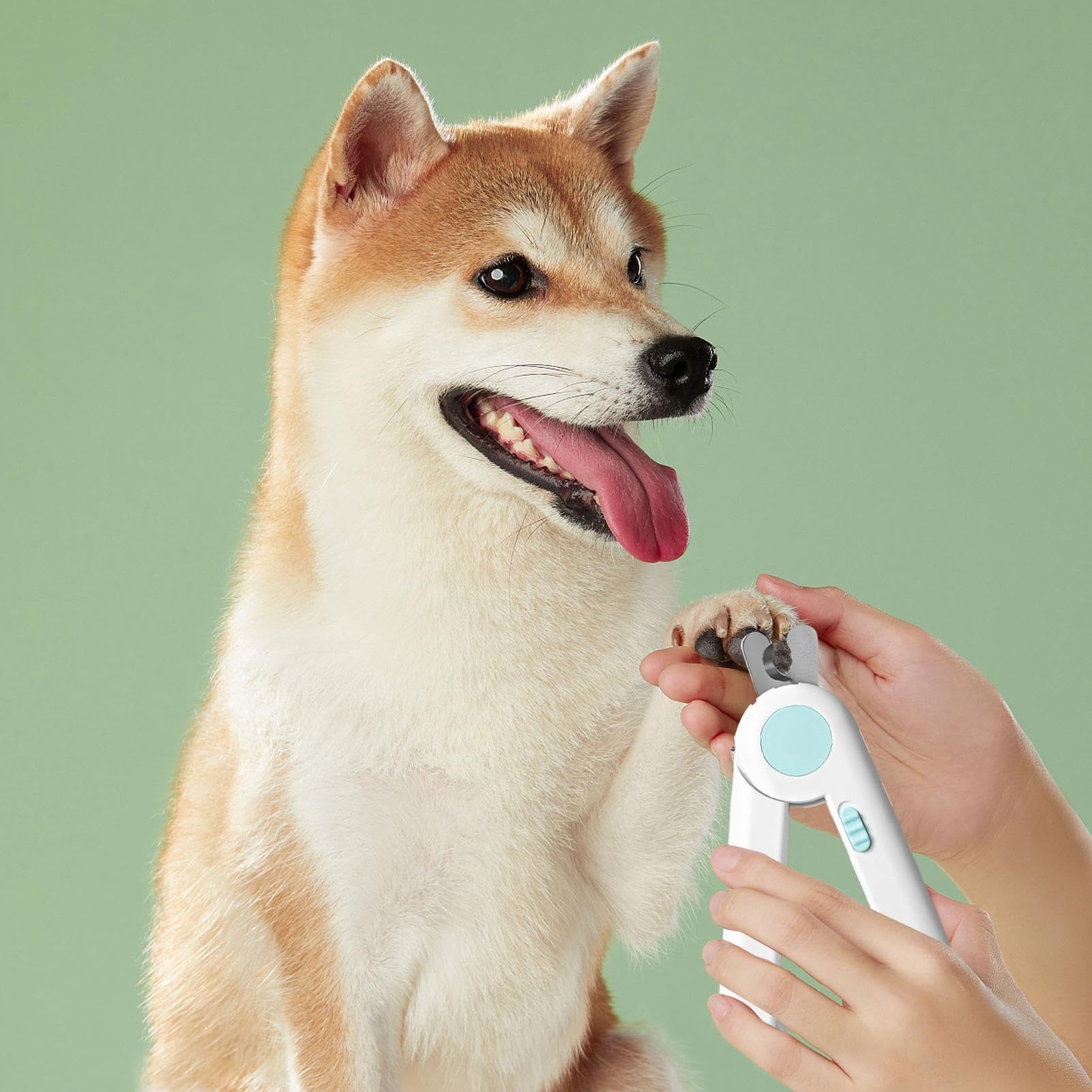 Nagelschere, Krallenknipser for Welpen mit Licht – glättendes Fellpflege-Werkzeug for kleine Tiere, Kaninchen, Vögel, Kätzchen, for den Heimgebrauch