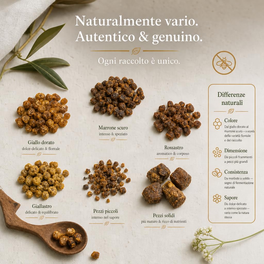2nd1 – Pane d’Api Naturale, Polline Fermentato, Raccolto da Apicoltori, con Vitamine e Minerali, per una Dieta Equilibrata, Supporta il Sistema Immunitario, Ideale per Smoothie e Muesli